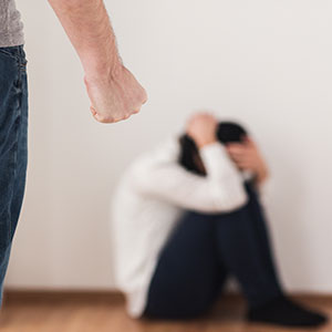 What Type Of Behavior Constitutes Domestic Violence In Los Angeles, California?
